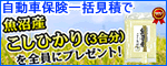自動車保険を賢く節約しよう！